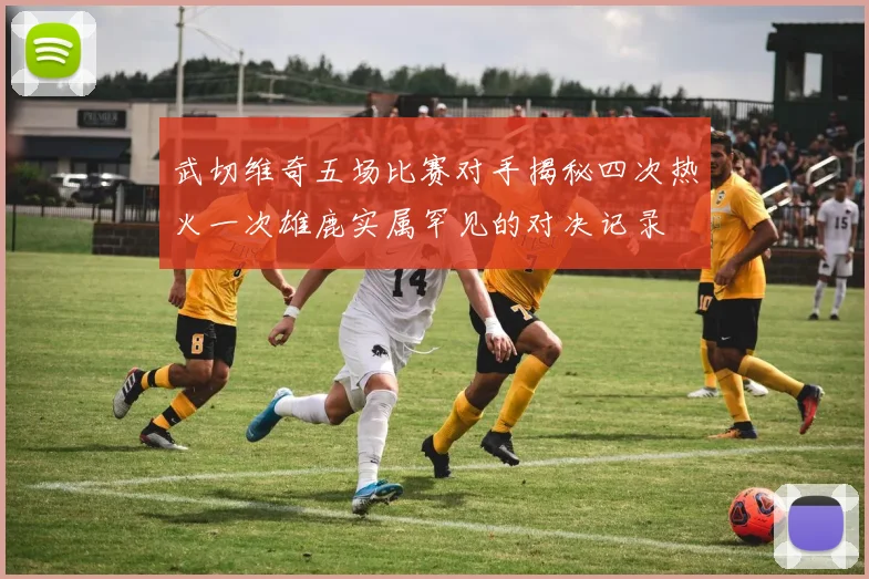 武切维奇五场比赛对手揭秘四次热火一次雄鹿实属罕见的对决记录