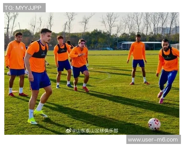 鲁媒报道德尔加多等外租球员回归泰山队国字号球员缺席冬训首阶段 鲁媒报道德尔加多等外租球员回归泰山队国字号球员缺席冬训首阶段